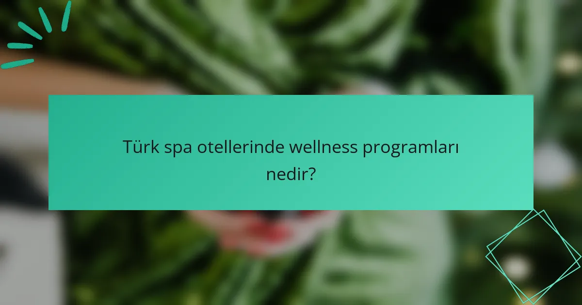 Türk spa otellerinde wellness programları nedir?
