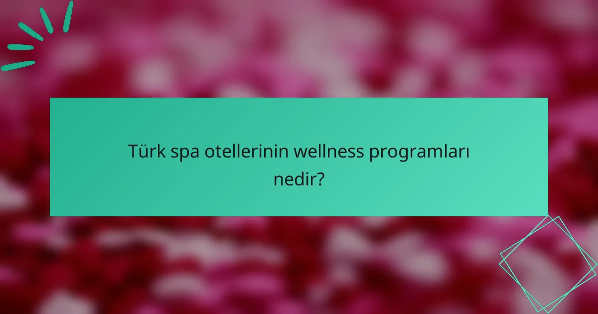 Türk spa otellerinin wellness programları nedir?